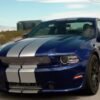 Shelby Mustang GT/SC