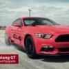 HPE700 Mustang