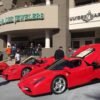 Enzo- David Lee's Ferrari Collection
