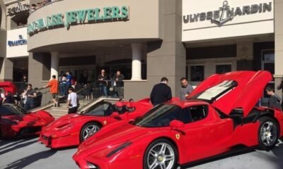 Enzo- David Lee's Ferrari Collection