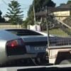 Lamborghini Murcielago towing goats in Australia