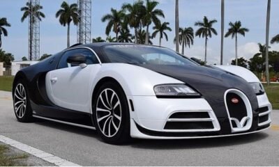 bugatti-veyron-mansory-linea-vivere-for-sale-7