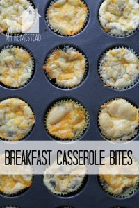 low carb high protein breakfast bites