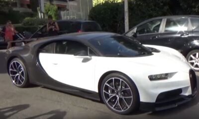 Panda Bugatti Chiron