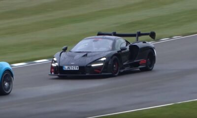 McLaren Senna-Goodwood 76MM