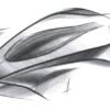 aston martin project 003 hypercar