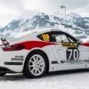 Porsche 718 Cayman GT4 Clupsport Rally Car