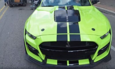 2020 Shelby GT500-stripes-cost