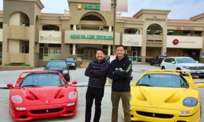 Yellow Ferrari F50-David Lee