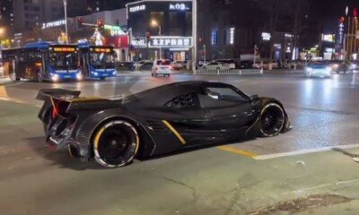 Devel Sixteen-spotted-in-China