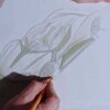 Lanzante McLaren F1 GTR LM30 teaser-1