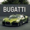 1-bugatti-solitaire-quail