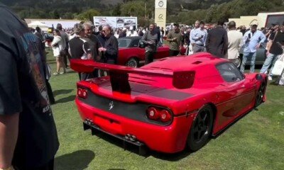 Ferrari F50 GT1-The Quail